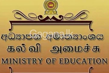 ගුරුවරයෙක් වීමට බලාපොරොත්තුවෙන් සිටි උපාධිධාරින්ට රජයෙන් විශේෂ අවස්ථාවක්