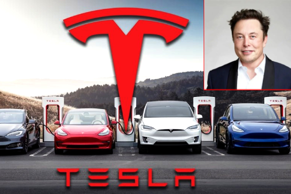 Tesla Europe sales drop, Elon Musk politics impact Tesla, Tesla vs BYD sales Germany, UK EV market July 2025, Model Y sales fall Europe, Electric car market trends 2025, BYD growth in UK and Germany, EV sales July 2025 data, Tesla registration decline, Elon Musk Trump endorsement