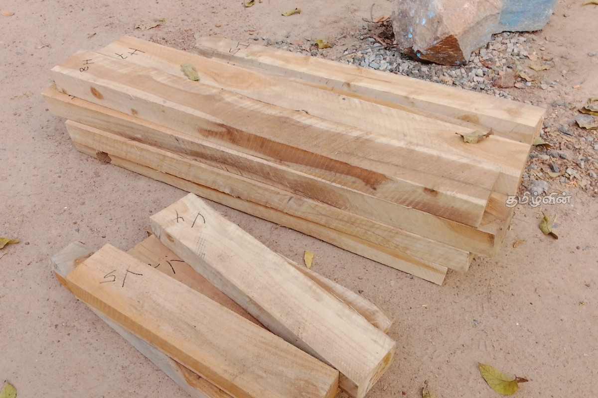 சட்டவிரோதமாக தேக்கு மர பலகை கடத்தல் - சந்தேக நபர் கைது | Illegal Teak Wood Plank Smuggling Suspect Arrested சட்டவிரோதமாக தேக்கு மர பலகை கடத்தல் - சந்தேக நபர் கைது | Illegal Teak Wood Plank Smuggling Suspect Arrested