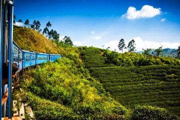 இலங்கையில் இருக்கும் கண்கவர் இடங்கள்.. இங்கு சுற்றுலா பயணிகளுக்கு வசதிகள் உண்டா?