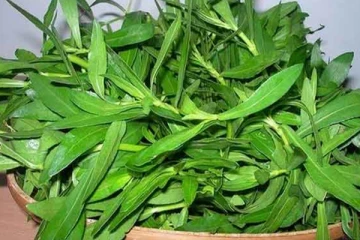 உடல் எடையை குறைக்கும் கீரை