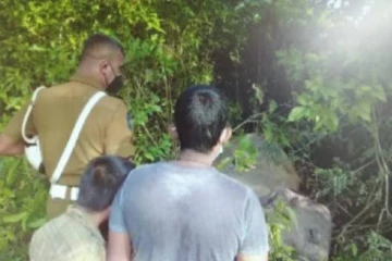 மின்சாரம் தாக்கி பரிதாபமாக உயிரிழந்த காட்டு யானை