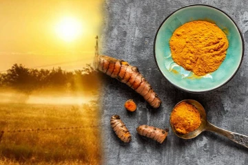 கோடைகால தோல் பிரச்சனையை நீக்கும் வீட்டு வைத்தியம்