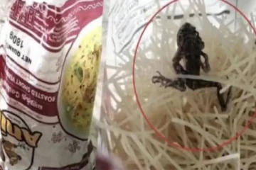 சேமியா பாக்கெட்டில் கிடந்த காய்ந்த தவளை - வாடிக்கையாளர் அதிர்ச்சி!