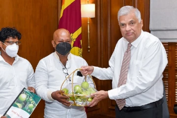 சிறிலங்காவில் உற்பத்தி செய்யப்பட்ட பச்சை நிற ஆப்பிள்..! ரணிலிடம் கையளிக்கப்பட்ட முதல் பழம்(படம்)