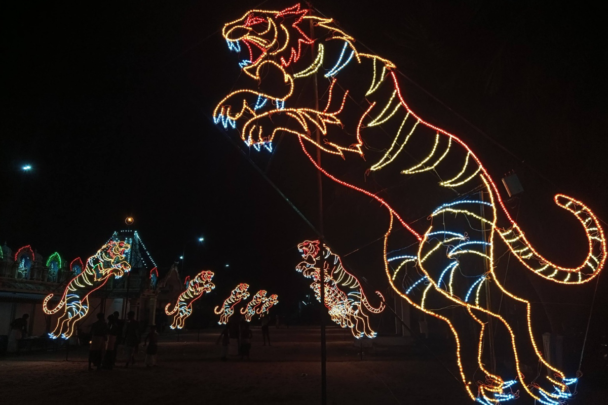 வல்வெட்டித்துறை ஆலயமொன்றில் அனைவரையும் கவர்ந்த அலங்காரம் | Velvettithurai Temple Flowing Tigers Decoration