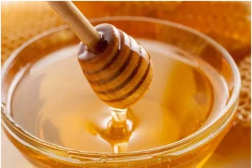 ஆரோக்கியம் தரும் தேன் விஷமாகவும் மாறுமாம்! யாரெல்லாம் சாப்பிடக்கூடாது? கட்டாயம் தெரிஞ்சிக்கோங்க