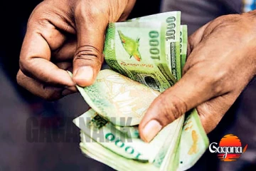 වැඩිහිටි දීමනාව එනකල් බලන් හිටපු අයට ඔන්න සුබ ආරංචියක්