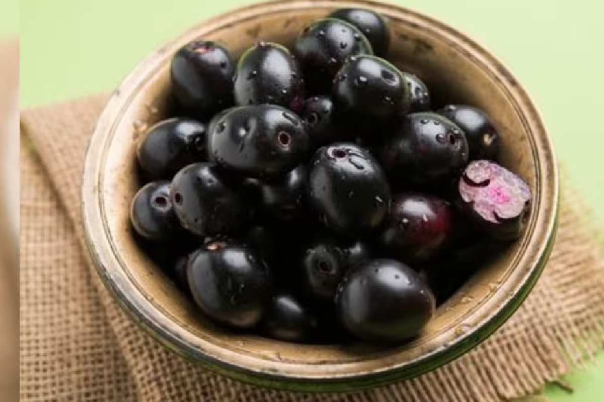 நாவல் பழம் சாப்பிடுவதால் என்ன நன்மைகள் கிடைக்கும் தெரியுமா | Benefits Of Eating Jamun Fruit