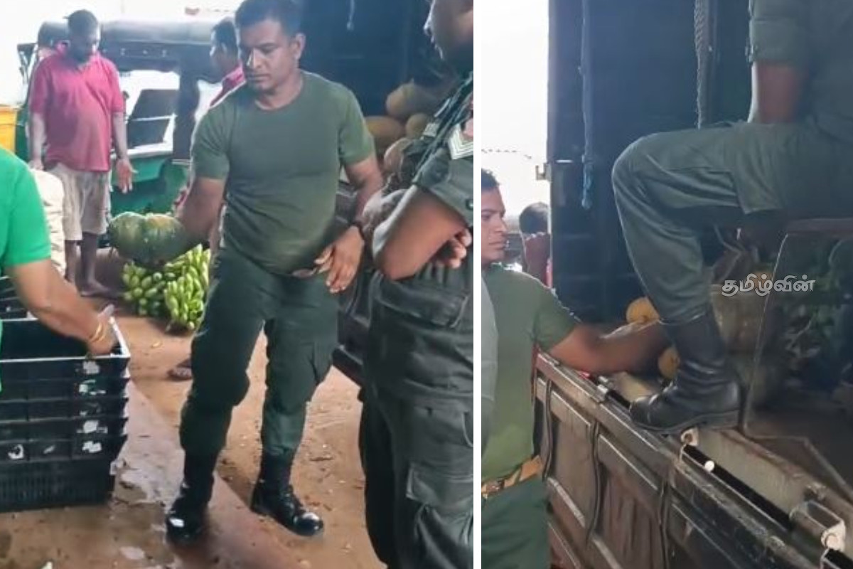வலி.வடக்கில் விவசாயத்தில் ஈடுபடும் இராணுவத்தினர் | Military Personnel Engaged In Farming In Jaffna