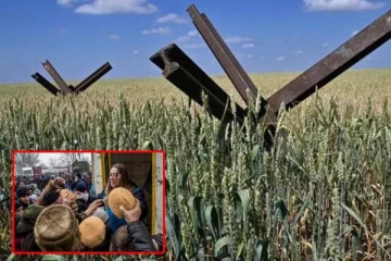 உக்ரைன் போரால்...உணவுப் பாதுகாப்பின்மைக்குள் தள்ளப்படும் மில்லியன் கணக்கான மக்கள்: அதிர்ச்சி தகவல்!