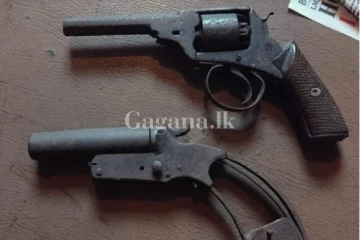 පෙරහැර වීදී සංචාරය කරන ඩි.එස්.සේනානායක වීදියේ වෙළෙඳසැල් දෙකකින් රිවෝල්වර් දෙකක්..