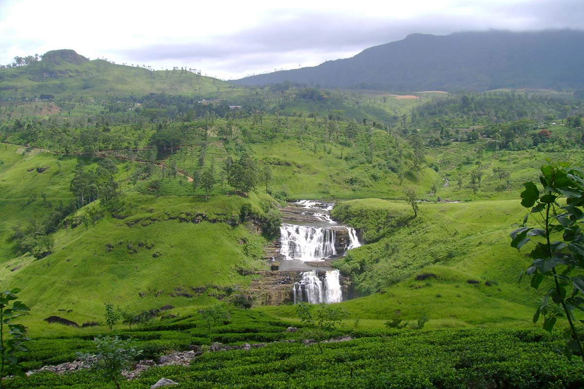 இலங்கையில் ஒரு லிட்டில் இங்கிலாந்து.... சுற்றுலா பயணிகளே உங்களுக்குத்தான் | Sri Lanka Mini England Nuwara Eliya City இலங்கையில் ஒரு லிட்டில் இங்கிலாந்து.... சுற்றுலா பயணிகளே உங்களுக்குத்தான் | Sri Lanka Mini England Nuwara Eliya City