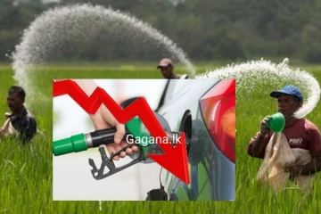 යළි පෙට්‍රල් 117 දෙයි ද? පොහොර 1500ට දෙයි ද? ලබන මාසෙ 21 පස්සෙ මෙහෙම කරයි?.