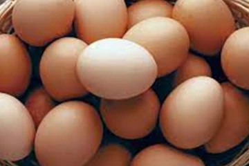 ஒரு முட்டையின் விலை 50 ரூபாவாக உயர்வடையும் சாத்தியம்