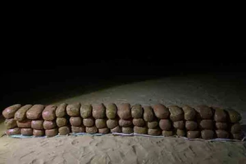 யாழில் பெருந்தொகை கேரளா கஞ்சா மீட்பு