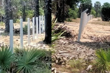 மன்னாரில் தனியாருக்குச் சொந்தமான காணிகள் சட்ட விரோதமாக விற்பனை