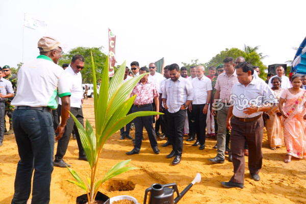 கிளிநொச்சியில் விதை தென்னை தோட்டத்தை ஆரம்பித்து வைத்த ஜனாதிபதி | President Inaugurates Seed Coconut Plantation