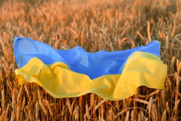 இதுவரை 20 மில்லியன் டன் உணவு தானியம்!கருங்கடல் ஒப்பந்தம் முக்கியத்துவம் வாய்ந்தது: ஐ.நா