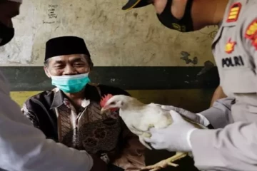 கொரோனா தடுப்பூசி போட்டுக்கொண்டால் கோழி இலவசம்