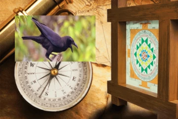 வீட்டு வாசலில் காகம் கரைத்தால் என்ன அர்த்தம்? இதெல்லாம் நடக்குமாம்