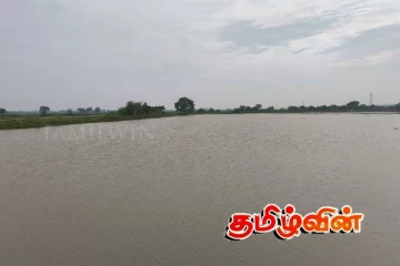 திருகோணமலையில் கனமழையால் நீரில் மூழ்கிய வயல் நிலங்கள்