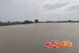 திருகோணமலையில் கனமழையால் நீரில் மூழ்கிய வயல் நிலங்கள்
