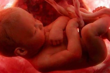 கருவில் உருவாகும் முதல் உறுப்பு எது தெரியுமா? இறந்து போனதும் முதலில் செயலிழக்கும் உறுப்பும் அதுதான்