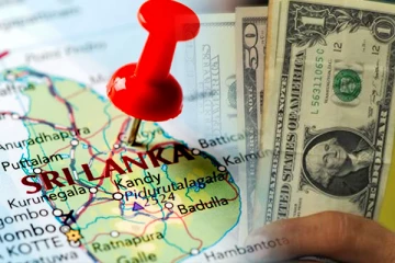 இலங்கை அரசாங்கம் விதித்த தடை! மில்லியன்கணக்கான டொலர்கள் இழப்பு