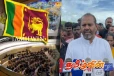 இலங்கை மீது சர்வதேச விசாரணைக்கான அழுத்தம் பிரயோகிக்கப்படும் : கஜேந்திரகுமார் ஆதங்கம்