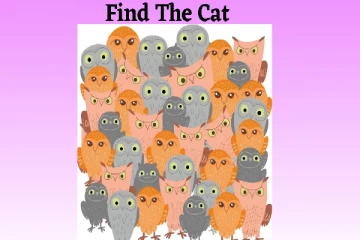 Optical illusion: உங்களுக்கு தூர பார்வை கண்களா? ஆந்தைகளில் பூனையை கண்டுபிடியுங்கள்