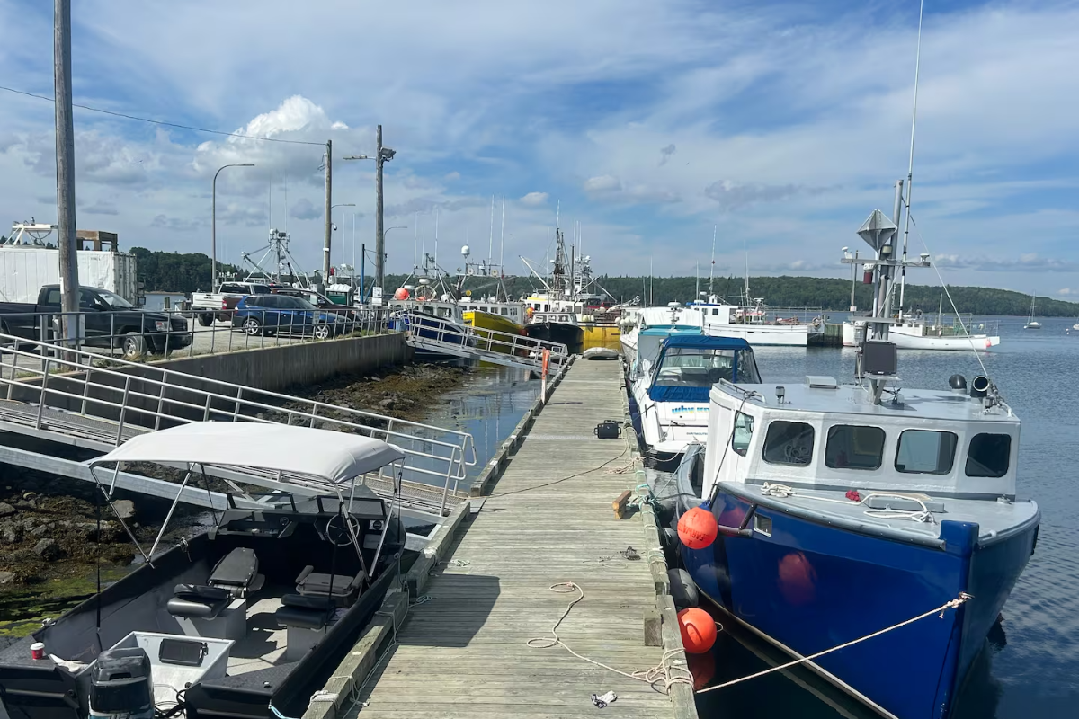 அமெரிக்க கடல் உணவுப் பொருட்கள் மீதான வரியை நீக்கியது கனடா | Why Fishers Asked Ottawa To Spare