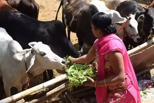 மகாளய பட்சம் நாளை ஆரம்பம் - வீடுதேடிவரும் முன்னோர்களை வரவேற்பது எப்படி.! | Mahalaya Paksha Pitru Paksha Mahalaya Amavasai