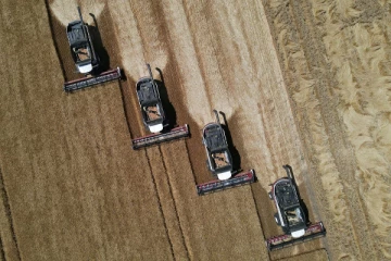 வரலாறு காணாத உச்சத்தில் 2022 உலக உணவு பொருட்களின் விலை!