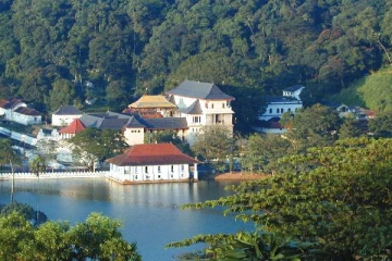 கண்டி பாடசாலைகளில் டெங்கு குடம்பிகள் பெருக்கம்: மாணவர்கள் பாதிப்பு