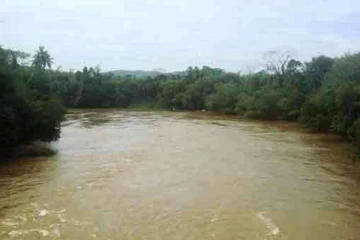 களனி கங்கையினுடைய நீர் மட்டத்தின் நிலை தொடர்பில் வெளியான தகவல்