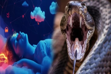 வீட்டிற்குள் பாம்பு வருவது போல கனவு எதற்காக வருகிறது? சாஸ்திரம் கூறும் உண்மை