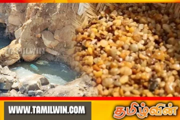 சட்டவிரோத மாணிக்கக்கல் அகழ்வில் ஈடுபட்ட 11 பேர் கைது