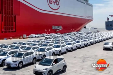 BYD වාහන 506ක් මුදා හැරීමට රේගුව අධිකරණයේදී එකග වේ