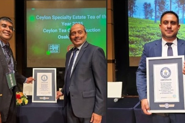 இலங்கை தேயிலையின் கின்னஸ் சாதனை | Guinness World Record For Sri Lankan Tea