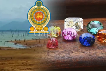 සිදී ගොස් ඇති ජලාශ වල මැණික් ගරන්න හදන රජයේ අලුත්ම සැලැස්ම මෙන්න.- ජනතාවටත් වාසි ලූ..