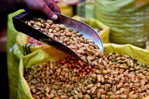 ஈரானிலிருந்து பிஸ்தா இறக்குமதிக்கு கனடா தடை | Canada Bans Pistachio Imports From Iran