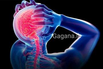 මොළේ උණ හැදෙන හැටි මෙන්න..ඔබටත් මේ රෝග ලක්ෂණ තිබේදැයි දැනුවත් වන්න..