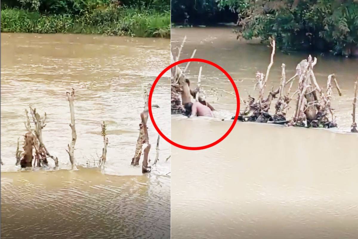 மட்டக்களப்பில் விவசாயி ஒருவர் சடலமாக மீட்பு | Body Of A Farmer Recovered In Vazaisenai மட்டக்களப்பில் விவசாயி ஒருவர் சடலமாக மீட்பு | Body Of A Farmer Recovered In Vazaisenai