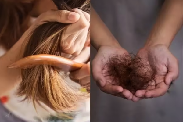 இந்த 3 பொருட்களில் பொடி செய்து குடிங்க - முடி கொட்டவே கொட்டாது | Home Made Long Hair Growth Tips Beauty Lifestyle