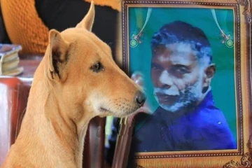 தமிழர் பகுதியில் ஏஜமானின் உயிரை காப்பாற்ற முயற்சித்த நாய்! இறுதியில் நேர்ந்த சோகம்