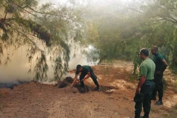 யாழ் மணல்காட்டில் விஷமிகள் அட்டூழியம்: களத்தில் இராணுவம்!