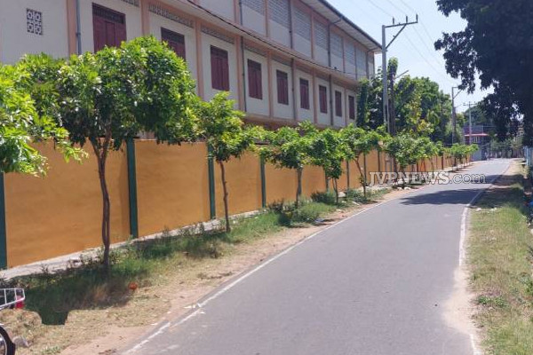 யாழில் மதுபோதையில் அட்டகாசம் செய்த விஷமிகள்! | Jaffna Street Trees Destroying Alcoholism
