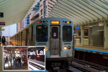 ஓடும் ரயிலில் பெண் தீ வைத்து கொளுத்தப்பட்ட சம்பவம்: தப்பியோடிய தாக்குதல்தாரி