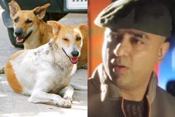 நாய்க்கு வெறி புடிச்சுடுச்சினா சத்தியமா கொல்லலாம்!! முன்பே கணித்த கமல் ஹாசன்